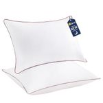 MIOTO Bed Pillows Queen Size Set of 2, 100% Cotton Cover Hotel Pillows for Side Back and Stomach Sleepers, Cooling Fluffy Down Alternative Microfiber Filled for Softness and Support, Wine 20x28