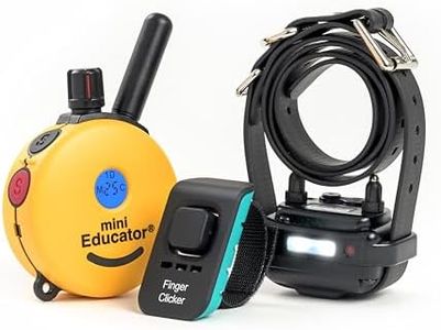 Educator E