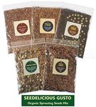 Verdant Republic Organic Sprouting Seeds Mix – SEEDELICIOUS Gusto (5 Assorted Packs) 250g | Healthy Superfood in Convenient Packs | Over 15 Vegetable - Legumes - Grains Varieties| Easy to Sprout