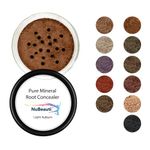 Root Concealer Touch Up Powder | All-Natural Crushed Minerals Without Brush | Fast and Easy Total Gray Hair Cover up For Black | Brown | Auburn and Blonde Hair .32 ounce (Without Brush, Light Auburn)