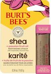 Burt's Bees Shea and Passion Fruit Oil Moisturizing Lip Balm Paper Tube, Natural Origin Lip Care, 9.6g.