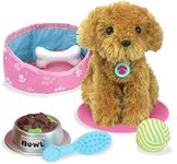 Sophia's Plush Puppy Dog and Accessories Set with Leash, Food Bowl, Brush, Toy Ball, Toy Bone, Bed, and Blanket for 18" Dolls, Multicolor