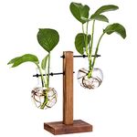 XXXFLOWER Glass Planter Bulb Vase, Desktop Plant Terrarium with Retro Solid Wooden Stand and Metal Swivel Holder for Hydroponics Plants Home Garden Office Wedding Decor (2 Bulb Left-Right)