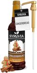 Syruvia Gingerbread Syrup – Gingerbread Coffee Syrup Flavor, 25.4 fl oz, Kosher, Gluten Free, Perfect for Coffee, Drinks, Soda, Desserts, and More, With Syrup Pump