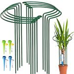 KAZITOO 8 Pack Large 60cm Tall Bow Plant Support Stakes, Strong Metal Garden Supports Half Round Flower Hoops with 4 Self Watering Spikes for Peonies, Hydrangea, Monstera(60 * 25cm)