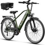 Jasion Roamer Electric Bike for Adu
