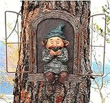 MR.Tom Garden Gnome Statue，Elf Out 