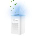 Evissa Desktop Air Purifier Portable USB Air Purifiers with HEPA Filter for Office Bedroom Home Effectively Removes Pollutants, Dust, Odor, Super Quiet Powered by USB No Adapte (White)