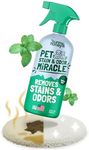 Sunny & Honey Pet Stain & Odor Miracle - 32 Fl Oz, Spring Mint Scent - Carpet Cleaner & Enzyme Spray for Carpets, Mattresses & Upholstery - Rug Shampoo & Dog Pee Cleaner & Odor Remover