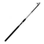 Shimano Fishing Pole