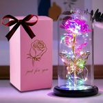 HFHungkeong Rose Flower Gifts for Women, for Mom, Galaxy Rainbow Rose Artificial Flower Glass Glowing Dome Butterfly Rose Birthday Gifts for Women Girlfriend Wife Valentine's Day Anniversary