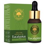 Old Tree Pure Eucalyptus Essential Oil (30ml) - for Skin, Home Fragrance, Steam Inhalation, Cold and Cough - Natural and Undiluted Perfume Oil for Aromatherapy & Relaxation