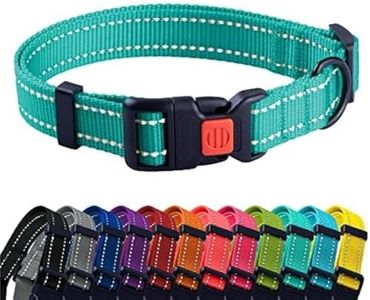 CollarDirect Reflective Dog Collar for a Small, Medium, Large Dog or Puppy with a Quick Release Buckle (Mint Green, 7-11 Inch)