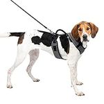 PetSafe EasySport Dog Harness - Pad
