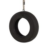 Backyard Tire Swing