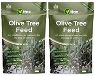 2 x Olive Tree Feed 900g