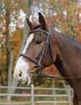 Shires Equestrian Avignon Nashville Bridle (Horse)
