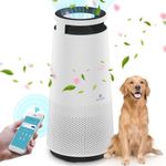 DH Lifelabs HEPA Air Purifier WiFi Enabled Plasma Deodorizes Air Eliminates 99.97% of Bacteria, Viruses, Allergens H13 HEPA Filter for Dust Mold Pollen Coverage for Bedroom Home Sciaire Mini #4WCC