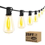 25FT Outdoor String Lights with 12+1 LED Edison Bulbs Dimmable, Waterproof Exterior Patio Lights, Connectable Shatterproof ST38 Hanging Lights for Backyard Garden Balcony Party, Warm White 2200K