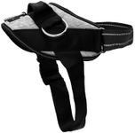 ShawnCo Essential Dog Harness, No-P