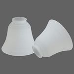 Anmire 2 Pack White Frosted Spiral 