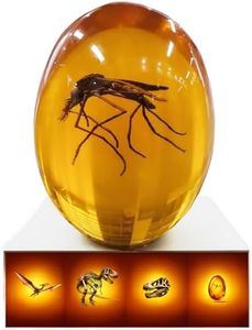 Jurassic Mosquito in Amber [2D-C] Durable Resin Encased Detailed 2D Insect Replica. Perfect for Collectors and Enthusiasts | Paperweight, Aged Effect, Desk Ornament