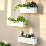 ecofynd Rectangular Metal Wall Hanging Plant Pot, Decorative Modern Indoor Planter Flower Pots, Home Garden Decor Planter for Living Room Bedroom Interior (White, Pack of 3, POT043)