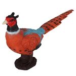 Archery Targets Pheasant 3D Shooter with Two-Side Cores and Ground-stakes for Targeting Hunting Practice