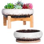 ARTKETTY Plant Pots Indoor - 18.5/25 CM Large Bonsai Pots with Trays Set of 2, Colorful Succulent Plant Pots Ceramic Pots for Cactus Plants Garden Decorative Flower Pot