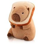 NXNYNZ Cute Capybara Plush Pillow w