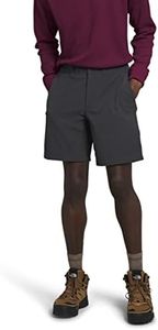 THE NORTH FACE Men's Paramount Short, Asphalt Grey, 32