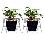 Dime Store Hanging Plant Stand / Flower Pot Stand / Plant Hanger For Balcony / Plant Hanging Basket (White, Set Of 2)