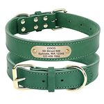 Beirui Genuine Leather Personalized Large Dog Collars with Nameplate ID Tags,Custom Dog Collars Engraved for Medium Large Dogs,Green (1.2" Width, 16.5-21.0" Neck)