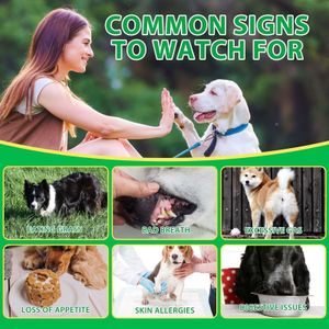 Dog Probiotics Chews – 120 Count Digestive Supplement for Pets