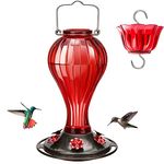 Kingsyard Glass Hummingbird Feeder 24 Ounces, 6 Feeding Ports, Hanging Bird Nectar Feeder for Outdoors Garden Yard Décor, Ant Moat Included, Red