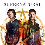 WarnerBrothers Supernatural: S13 (D