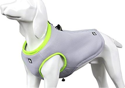 SGODA Dog
