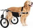 Virbraroo Dog Wheelchair for Back Legs – Lightweight Adjustable Mobility Aid for Medium & Large Dogs - Ideal for IVDD, Arthritis & Injury Recovery