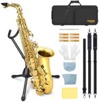 SONICAKE Eb Alto Saxophone Complete