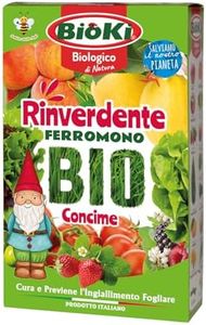 🌺🌺🌺Biok