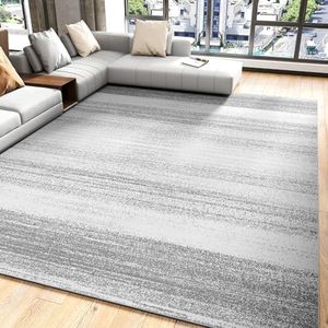 Modern Abstract Area Rug 5x7 Rugs for Living Room Bedroom-Carpet Machine Washable Rugs for Bedroom Dining Room Living Room Rug- Contemporary Neutral Grey Aesthetic Home Decor