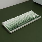 PBT Doubleshot Keycaps Gradient Green Backlit OEM Profile Keycaps Full Set 123 Keys Custom Keyboard Keycaps for 60% 65% 75% 100% Cherry Gateron MX Switches Mechanical Keyboard