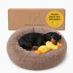 Whiskers & Friends Small Dog Bed Washable, Fluffy Orthopedic Dog Bed Small, Puppy Calming Beds, Large Cat Beds for Indoor Cats - Perfect for Pets Under 25 Pounds - Camel