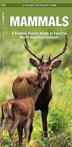 Mammals: A Folding Pocket Guide to Familiar North American Animals (Wildlife and Nature Identification)