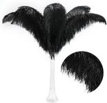 Larryhot Black Ostrich Feathers Bulk - 28-30 inch 10pcs Feathers for Vase,Wedding Party Centerpieces and Home Decorations (Black)