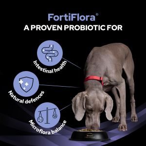 PRO PLAN FortiFlora Dog Probiotic Supplement, 30 x 1g Sachets