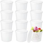 12 Pcs 1 Gallon Ice Cream Buckets w