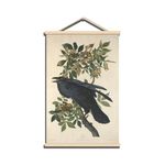 John James Audubon Poster Frame - Crow Art Print Wall Hanging - Bird Science Educational Poster - Boys Room Decor - Home Decor for Campus Summer Camp - Framed