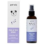 Flea & Tick Spray for Dogs & Cats - Lavender Oil & Six Other Natural Essential Oils (100ml ℮)