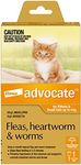 Advocate Cat, Monthly Spot-On Protection from Fleas, Heartworm & Worms, Single Pack Flea Treatment for Kittens & Small Cats up to 4 kg, 1 Pack